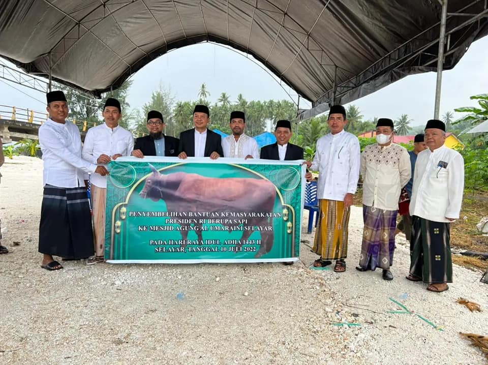 Sapi 1 Ton dari Presiden Dikurbankan di Selayar, Gubernur Berkurban 12 Sapi